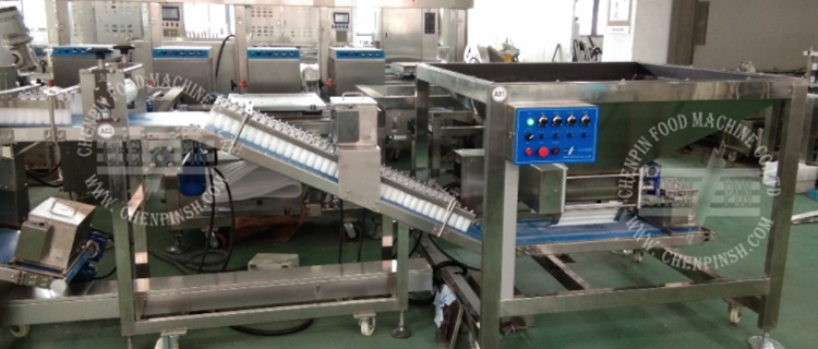 Automatyczna linia do produkcji chleba bagietkowego Ciabatta0101
